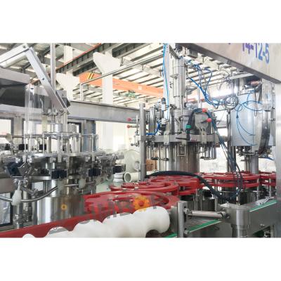 China Automatic 3in1 2in1 Food Craft Cerveza Pivo Ale Stretcher German Lager Barley Beer Bottle Rinsing Filling Sealing Bottling Capping Machine for sale