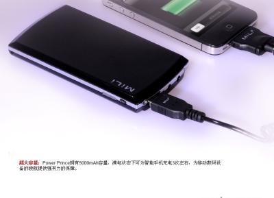 China Custom Made Universal Universal Portable Power Bank For IPhone / IPad / PC for sale