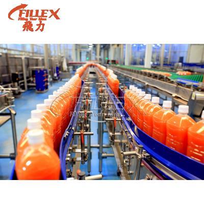 China Food Beverage Industry System Heat Resistant Fully Automatic Speed ​​Adjustable Conveying Conveyor Belt For PET Bottles for sale