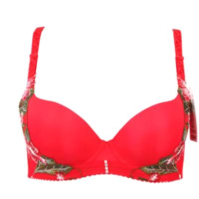 China Breathable Exquisite Design Flower Embroidery Adjustable Buckle Design Stylish Sexy Bra For Women for sale