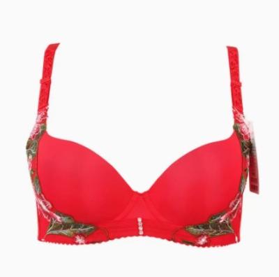 China Breathable New Design Embroidered Deep V Sexy Gathering Adjusting Stylish Sexy Bra For Women for sale