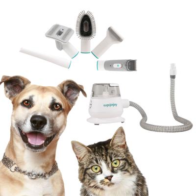 Chine Kit de toilettage pour chiens à faible bruit avec outils sous vide et pinceau pour chiens N.W/G.W. 2,5 kg/5 kg à vendre