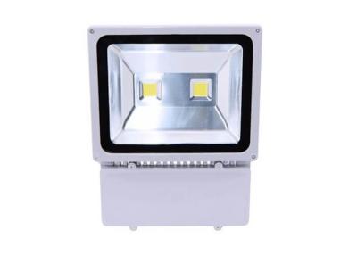 China Super Bright Powerful 100 W Exterior Led Flood Light Bulbs Grey Die Cast Aluminum Housing for sale