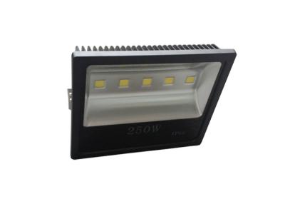 China MAÏSKOLF van 110V 220V 250 Watts leidde Verlichting van de Vloed de Lichte IP66 Waterdichte Stofdichte Luchthaven Te koop