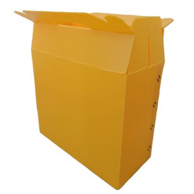 China China Manufacture Waterproof Trade Assurance Clear Color Corrugated Storage Moving Plastic Box for sale