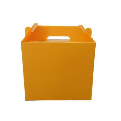 China Waterproof Transparent PP Plastic Storage Container Boxes With Optional Colors for sale