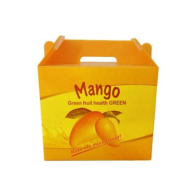 China Factory wholesale price waterproof fresh vegetable and fruit plastic corrugated box with customized service for sale