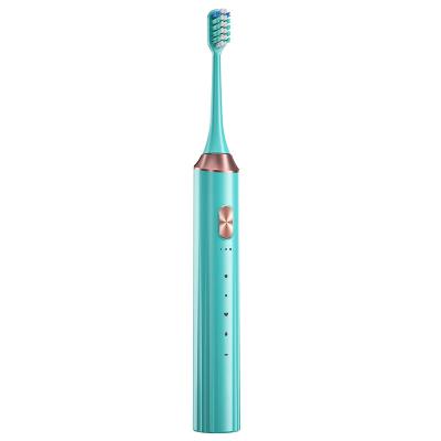 China 15 Speed ​​Mode 2022 High Quality Sonic Electric Toothbrushes For Adults for sale