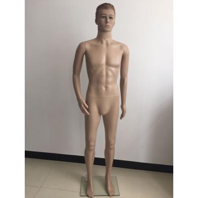 China Cheap Cheap Plus Size Full Body Male Mannequin For Sale for sale