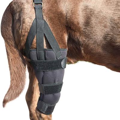 China Pad Dog Canine Knee Smother Brace Wrap Metal Hinged Flexible Support Treat Dislocating Cruciate Patella Ligament Sprain Strain for sale