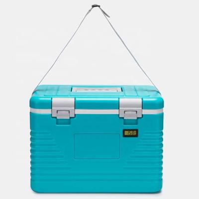 China 12L cheap and good quality portable cooler box viable for medicine transport for sale