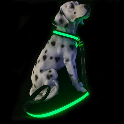 China Lights Win warm praise from customers dog leashes custom logo led dog leashes and collars for sale