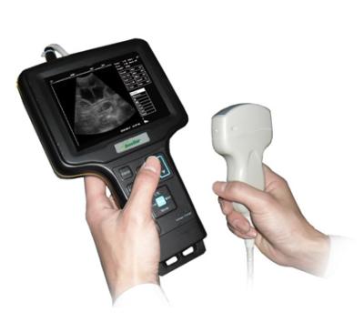 China Handheld ultrasound scanner Handheld ultrasound machine system for sale