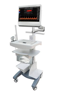 China Trolley Color Doppler Ultrasound system with Touch screen for sale