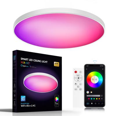 China Surface Mounted 30W Dimmable Smart WIFI Ble Lamp 2.4G Remote Control Fixtures Design Room Lights Modern Flush Mounted LED Ceiling Light for Home for sale