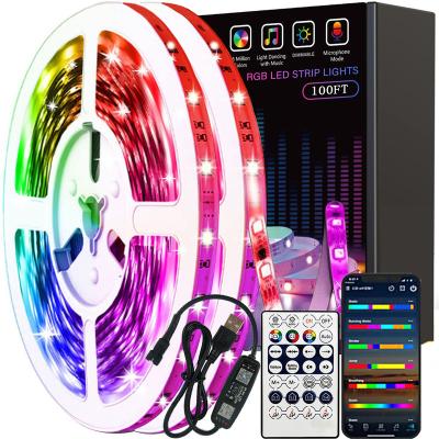 China Garden 5V Illumination Strip WS2812B Programmable Built-in IC Running Flexible Light Strip For Gym WS2812B USB Led Strip Light for sale