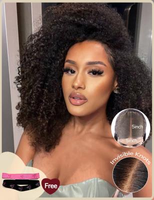 China 5x5 Pre Everything Deep Curly Wig Glueless Human Hair With Plucked Hairline for sale