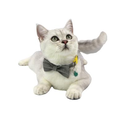 China Thoughtful Cat Collar with Bow Tie and Bell Buckle Adjustable Cute Kitten Safety Collars for sale