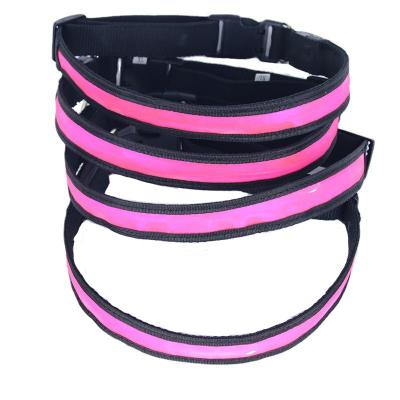 China USB Rechargeable Lights Dog Collar With Water Resistant Flashing LED Light Dog Collar for sale