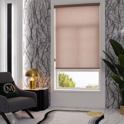 China Translucent Curtain Blackout Office Blackout Window Manual Roller Blinds for sale