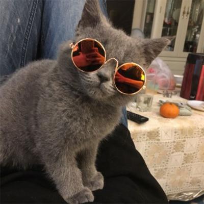 China Hot Viable Pet Accessories Lovely Dog Glass Sunglasses Pet Cat Glasses for sale