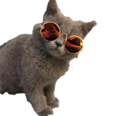 China Lovely Viable Pet Cat Glasses Pet Accessories Dog Glass Sunglasses for sale