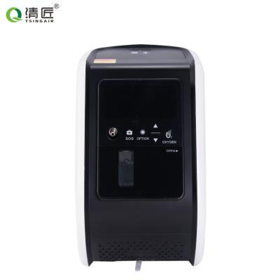 China High quality medical purity 93% 2l - 6l mini portable oxygen oxgen concentrator 415*396*235mm for sale