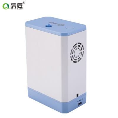 China Hot Sale 2 Liter Continuous Dual Flow Oxygen Concentrator 135*85*190 mm for sale