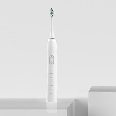 China 2021 New 25 Modes Eco-Friendly Household Sonic Electric Toothbrush Battery Travel for sale