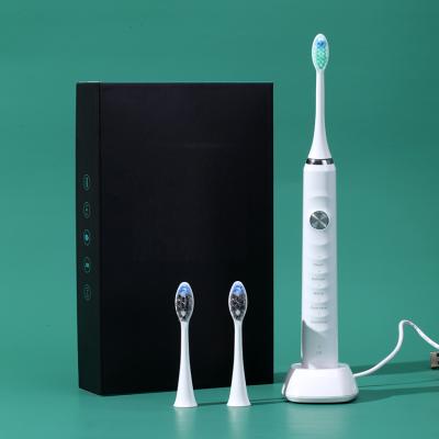 China New Ultrasonic Electric Toothbrush Battery Operated ipx7 5 Modes for sale