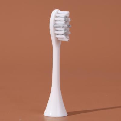 China OEM Battery Operated Sonic Electric Toothbrush for sale