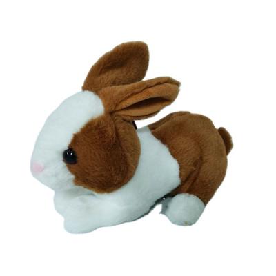 China Hot Sale Kawaii Gray Light Brown Plush Toy 23cm 3asst Peter Rabbit Animal Plush Toy for sale