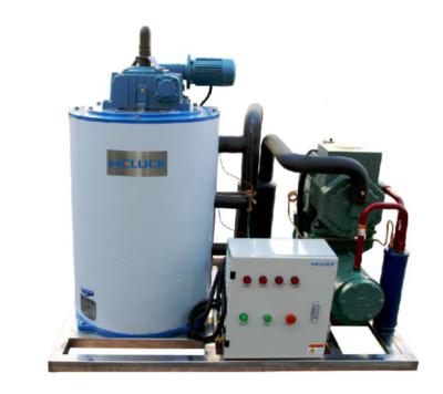 China Small Hotels OEM Freshwater Commercial Use 5 Ton Flake Ice Machine for sale