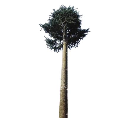 China Bionic Tree Tower Camouflaged Pine Tree Bionic Plant Tower Signal Bionic Tree Tower for sale