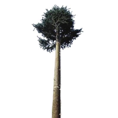 China Steel Monopole Customization Fast Delivery Bionic Tree Tower Camouflaged Palm Tree Telecom Tower for sale