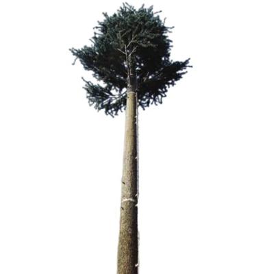 China gsm antenna tree tower artificial camouflage steel bionic tree tower for sale