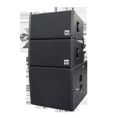 China 15mm Plywood TW10 Line Array Speaker Box 10 Inch For Line Array Door DJ Accessories for sale