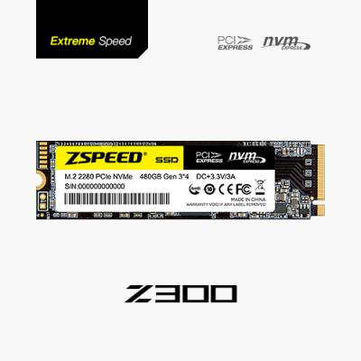 China Zspeed Z300 M.2 SSD Series for sale