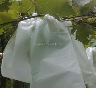 China Naturally Grown Top Selling Nonwoven Products Agriculture Fruit Pad Bag for sale