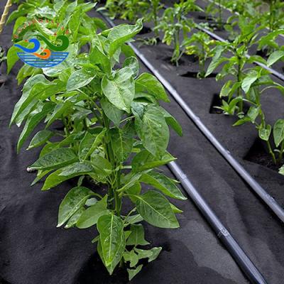 China 80gsm Anti-bacteria black color pp spunbond fabric nonwoven weed mat plant cover in agricultural plastic product for sale