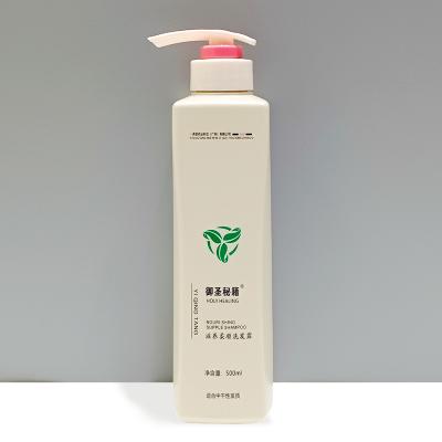 China Wholesale Ginger Anti-dandruff Anti-dandruff Wholesale Anti-dandruff Hotel Shampoo Color-protecting 500ml Hotel Shampoo Black Hair Anti-Itching Repaired Shampoo for sale