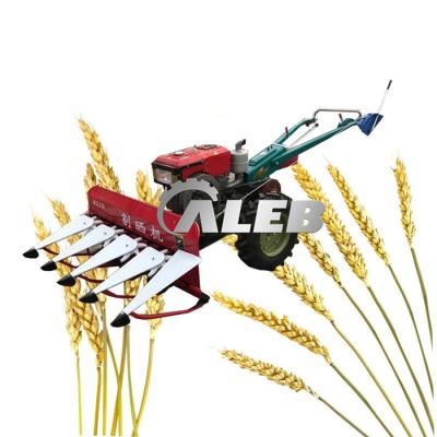 China Easy Opertion Commercial Soybean Harvester Automatic Best Selling Agricultural Crop Harvester for sale