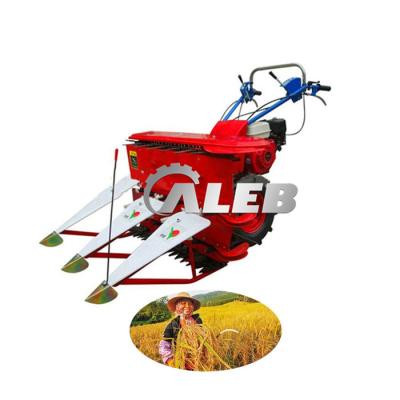 China Easy Opertion Commercial Rice Paddy Harvester Easy Pepper Pepper Automatic Hand Harvester for sale