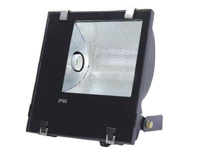 China IP65 Max Outdoor Metal Halide COB 250W Lamp Housing Flood Lights for sale