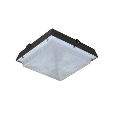 China Gas Station Low Bay Lighting 30W 50W Bright Led Gas Station Led Canopy Lights for sale