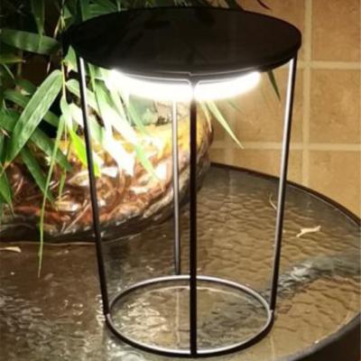 China Patent Modern New Design Solar Garden Birdcage Lamp Included Solar LED Module Light for sale