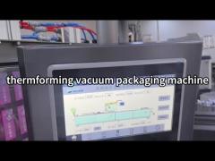 Thermoforming Vacuum Packaging Machine-beef