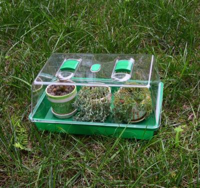 China Waterproof Garden Mini Greenhouse Indoor Plastic Grow Boxes for sale