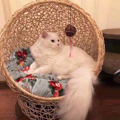 China Sustainable High Quality Sofe Comfortable Artificial Weaving Natural Rattan Cat House for sale