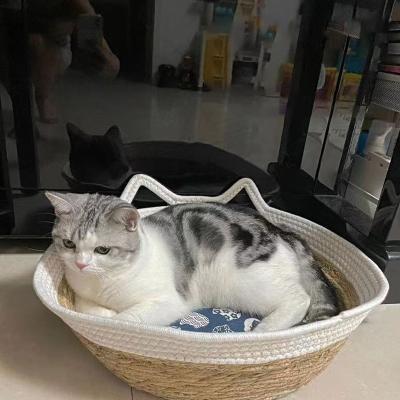 China Sustainable Eco Friendly Scratch-resistant Durable Natural Seagrass Rattan Cute Cat Bed Pet House Indoor for sale